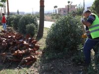 HATAY’DA 2 BİN 235 TON YIKINTI ATIĞI TOPLANDI!