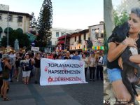 Hayvan dostu Çağrı Sert Ödül töreninde Antakya’yı anlattı