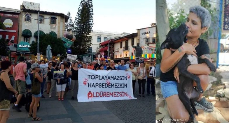 Hayvan dostu Çağrı Sert Ödül töreninde Antakya’yı anlattı