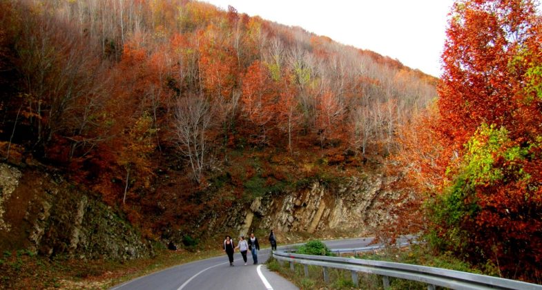 Akdeniz’de Karadeniz’i Yaşamak: Amanoslarda Sonbahar…