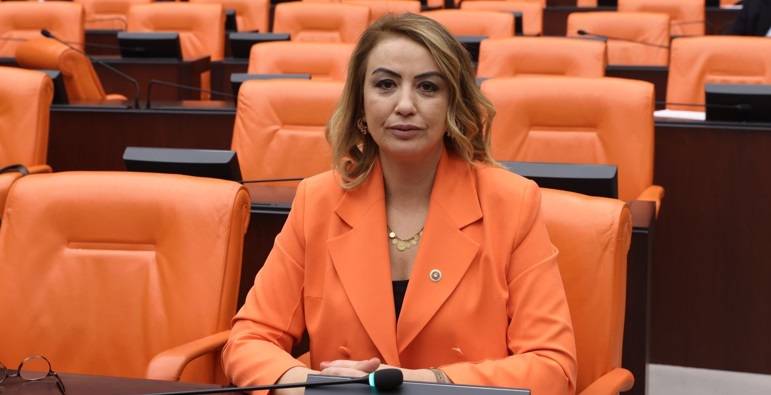 KARA: İKTİDARIN MESELEYE NASIL BAKTIĞI GÖZLER ÖNÜNDE