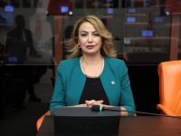 YILDIRIM KARA: REYHANLI BARAJI’NA SU VERİLMELİ, MAĞDURİYETLER GİDERİLMELİ