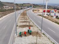 BAŞKAN SARI: ALTINÖZÜ’NE DEĞER KATIYORUZ