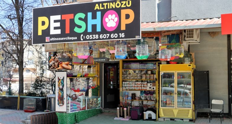 Altınözü’nün Tek Petshop Mağazası: “Altınözü Petshop”