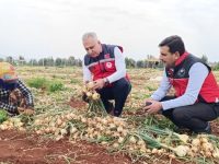 Türkmen Tarlalarda Zararlı Kontrolü Yaptı